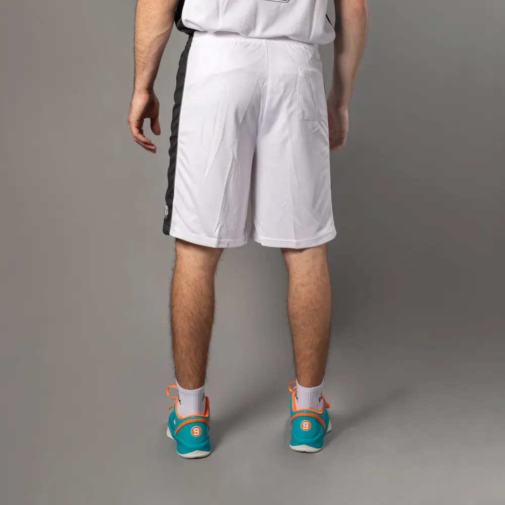 Moške hlače za košarko Peak F742311