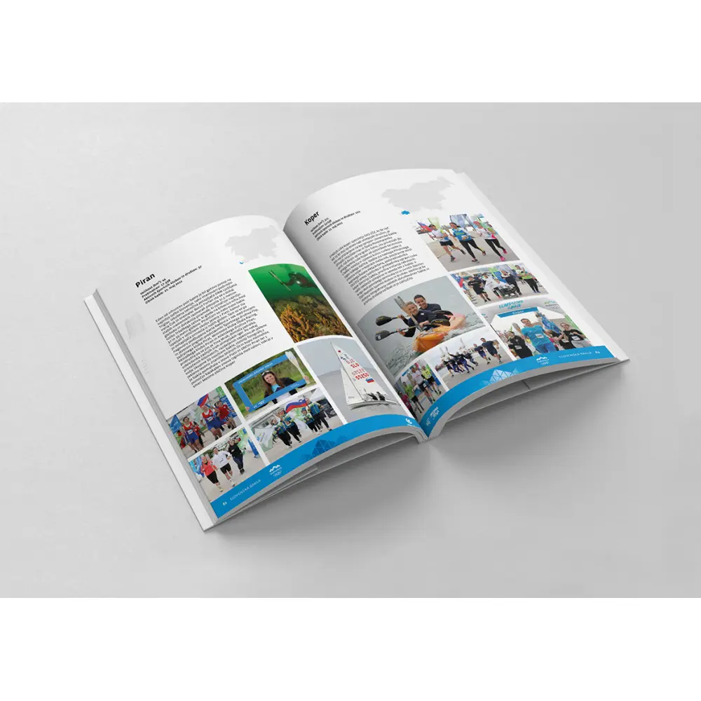 Knjiga Slovenska bakla